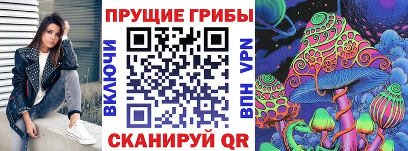 цена   Енисейск  Галлюциногенные грибы мицелий 